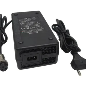 Kiirlaadija Dualtron Thunder 3A 60V Gx16