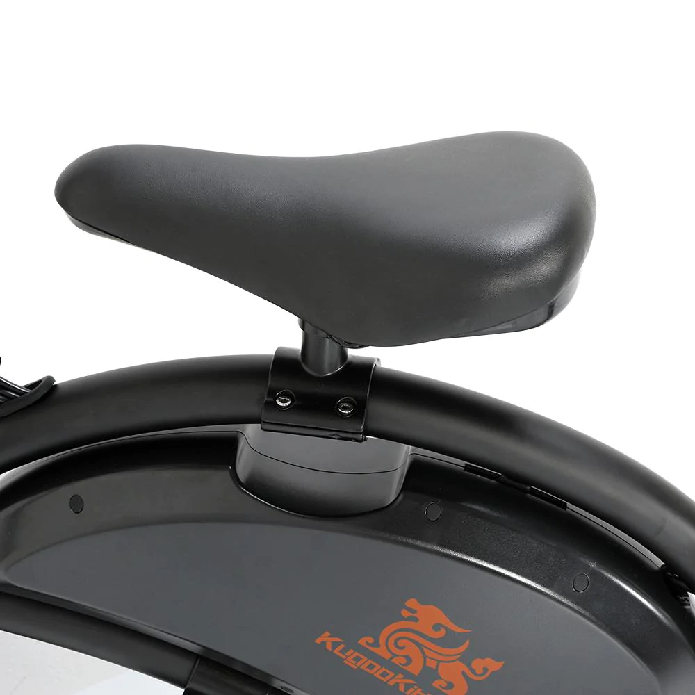 kugoo kirin v1 b2 elektrijalgratas elektriline jalgratas elektrijalgrattad elektrilised jalgrattad 8