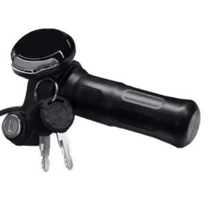 Display ekraan süüteluku / gaasiga ZS801